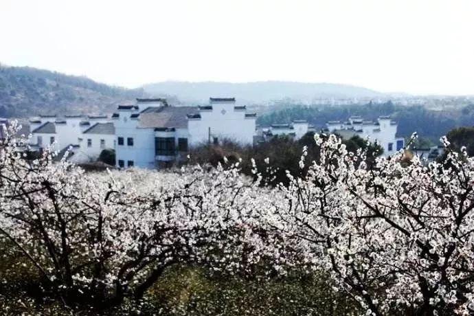 了解现在有什么好看的小说啊？，加入知识星球平台
