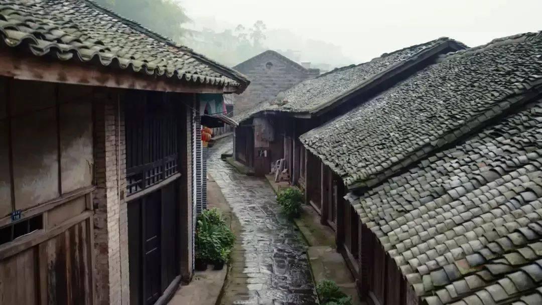 香瓜不长瓜长秧怎么回事香瓜长势好但是瓜很少怎么回事?|知识星球平台